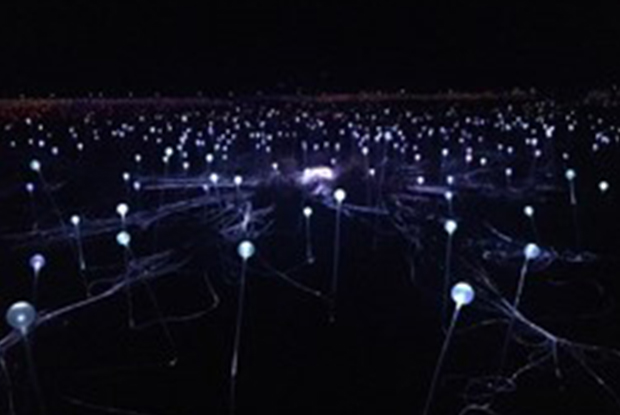lights